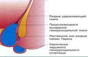 medalbum.ru