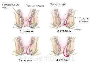 shot.ganor.ru shot.ganor.ru